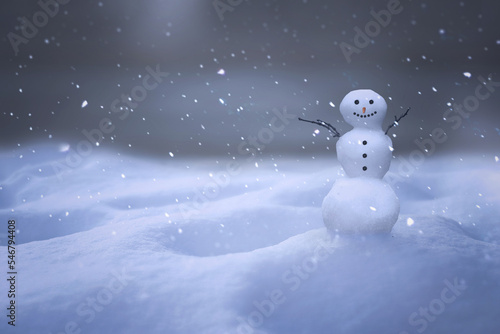 Cute snowman standing in a snow covered landscape.