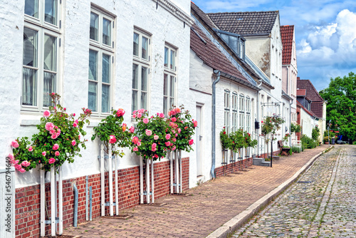 Historic houses with blooming roses on the facades in the old town of Friedrichstadt  Germany