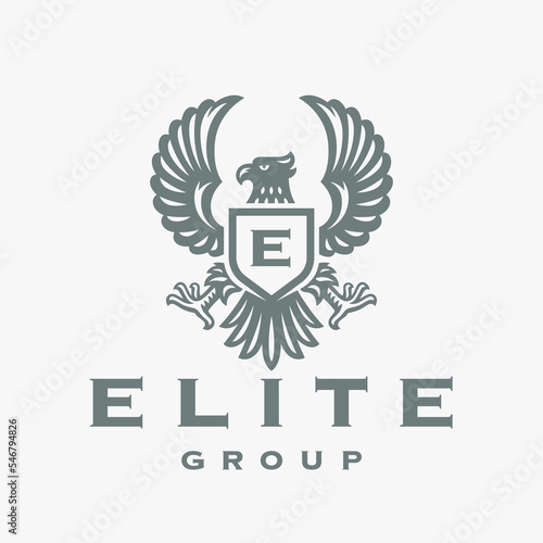 Luxury eagle crest monogram logo. Hawk shield emblem. Heraldic falcon symbol. Royal elite brand label. Premium flying bird icon. Vector illustration. photo