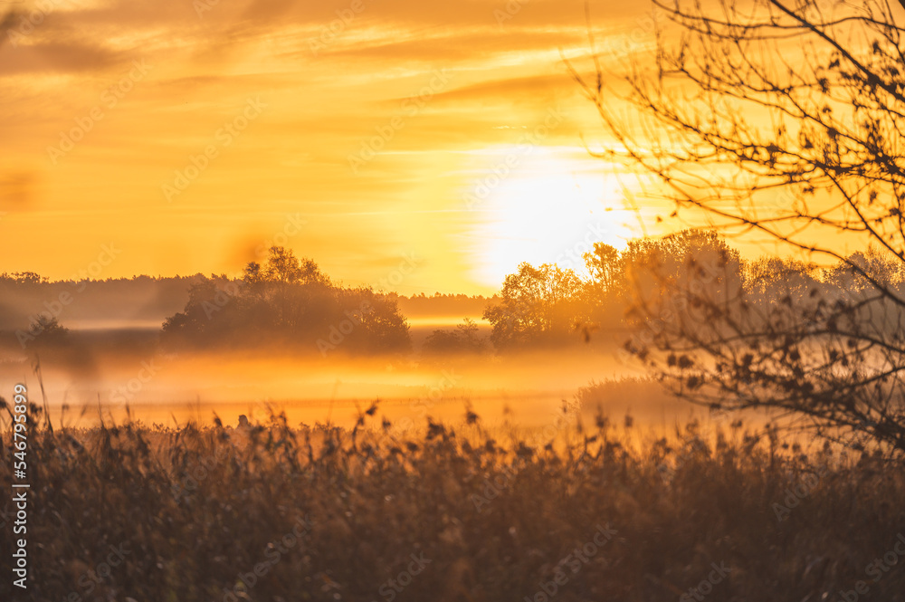 Obraz premium Celle, 23.11.20222