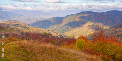 beautiful mountain landscape with valley. sunny morning in carpathian countryside. trees in colorful foliage and rural fields on the hills