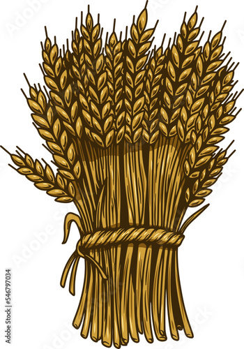 Illustration of wheat sheaf in engraving style. Design element for card, banner, menu. Vector illustration
