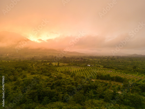 The Mountain Forest on Background of Sunset. Dramatic Sunset Sky