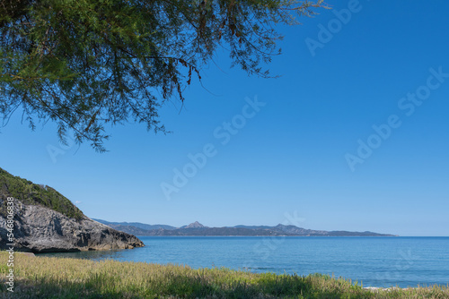 Grass on a beach in Corsica under a great blue sky