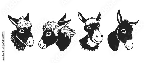 .Donkey head silhouettes. Vector monochrome set. Realistic isolated animal portraits.