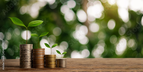 Money growing concept,Business success concept,Trees growing on pile of coins money .