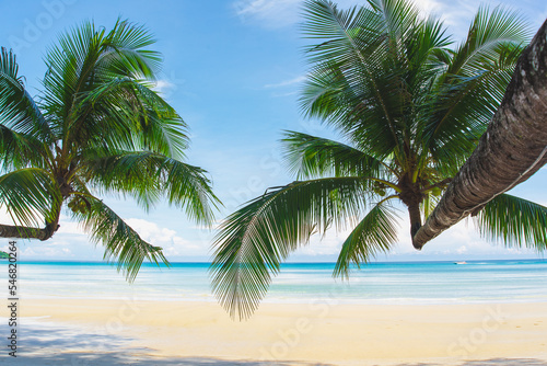 Coconut palm trees against blue sky and beautiful beach in Koh kood, Thailand. Vacation holidays background wallpaper. View of nice tropical beach.