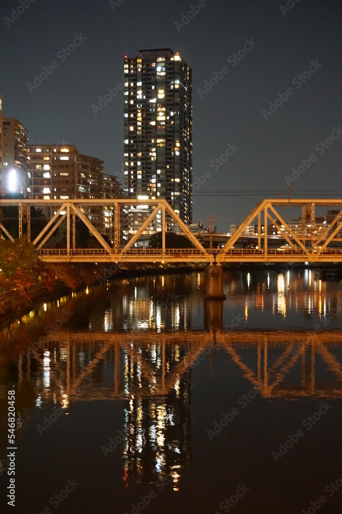 Obraz premium 大川に架かる鉄橋とビル郡の光が川に反射している夜景