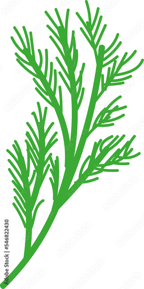 Obraz premium Dill. Vector illustration in a flat style.