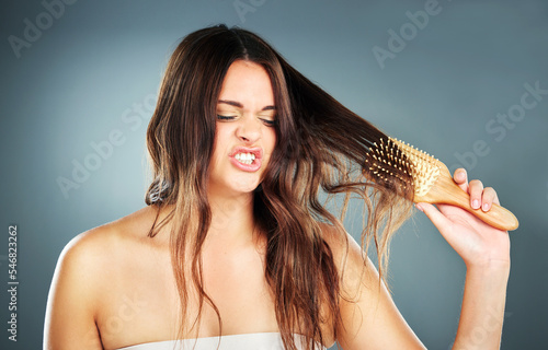 Woman, hair care and annoyed tangle with brush for beauty, cosmetics and self care by blue background. Model, hair and detangle brushing with frustrated face in wellness studio for cosmetic hairstyle photo