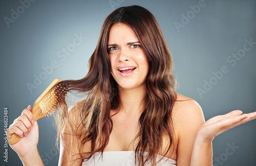 Woman, hairbrush and shocked woman with problem, stress and damaged brunette hair. Portrait, haircare and hairstyle with a female with wavy hair and stuck brush in brown hairstyle in studio