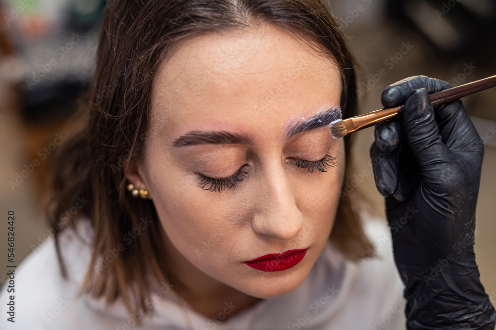 procedure of a beauty salon to paint eyebrows with brush eyebrow dye for client with lashmaker