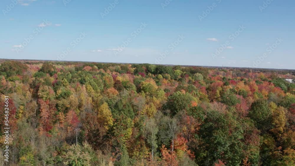 Drone view of trees during season change to autumn Drone view of trees during season change to autumn