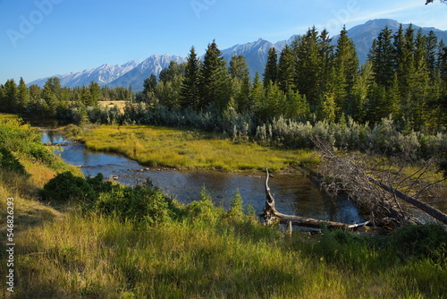 Bow River at Bow River Loop Trail in Canmore,Alberta,Canada,North America
