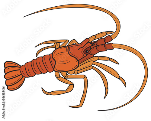 Realistic lobster. Seafood shop logo, signboard, restaurant menu, fish market, banner, poster design template. fresh seafood. vector illustration.