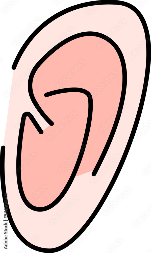 human earlobes which function to hear
human earlobes which function to hear
