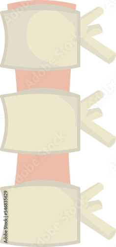 a human bone is an invisible part of the human body, but its role is very significant and irreplaceable

