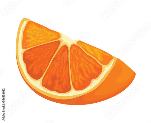 orange fruit food citrus fresh healthy juicy vector illustration vitamin juice sweet oranges freshness natural nature organic