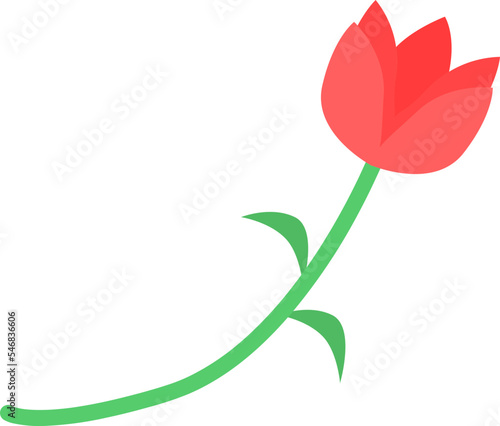 the type of flower commonly called a rose has thorns and its fragrant flowers are red
