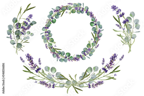 Watercolor eucalyptus leaves and lavender flower illustration Fototapeta
