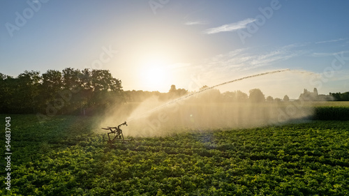 Aerial view shot by a drone of a sprinkler that is irrigating an agrarian crop field on a hot dry day in the summer on the countryside in Belgium around sunrise  creating a beautiful view of the