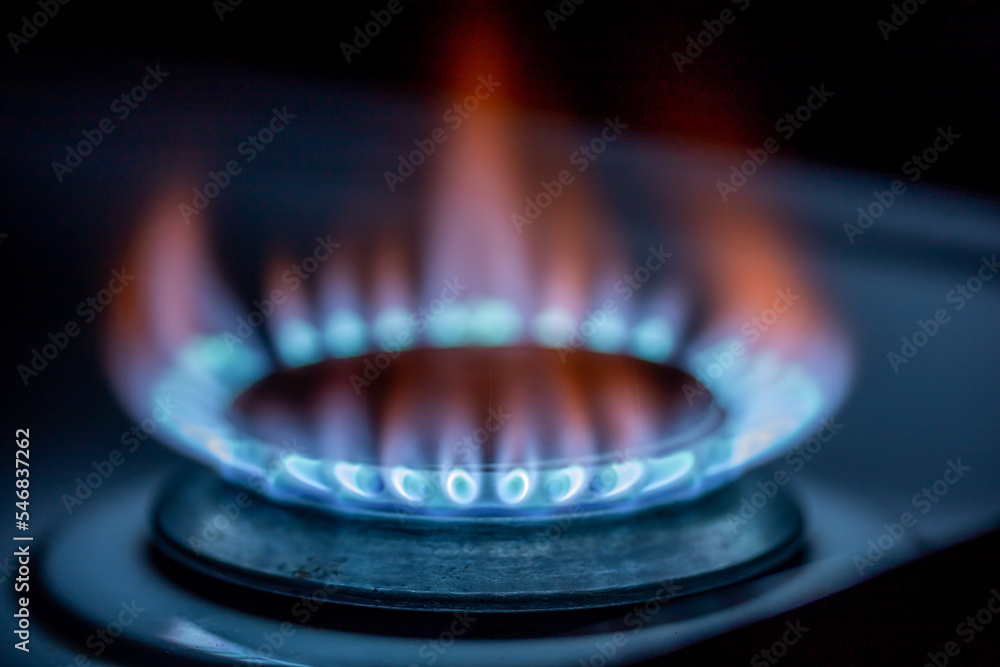 Natural gas used in homes and industry Natural gas used in homes and industry