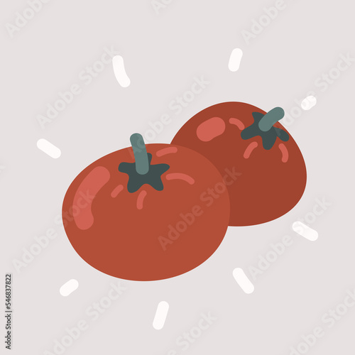 Vector illustration of Red tomato tomatos