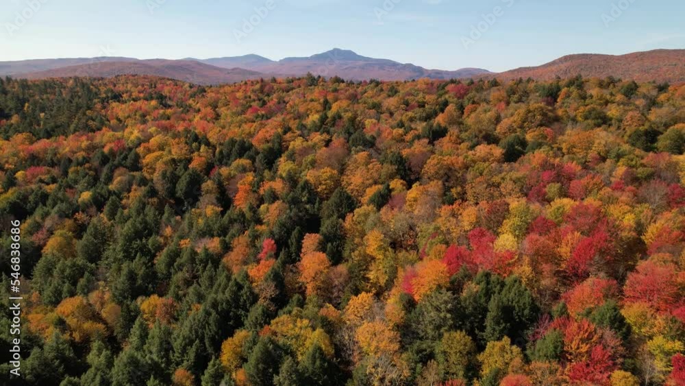 new england mount mansfield aerial reveal with brilliant fall color,  think it's mount mansfield in vermont