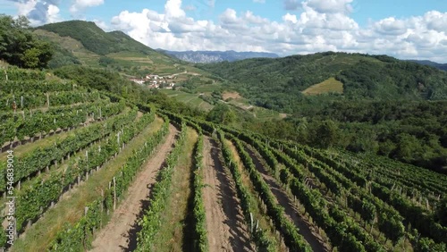 Wallpaper Mural low fly over a vineyard on the hill with village and hills behind on cloudy day Torontodigital.ca