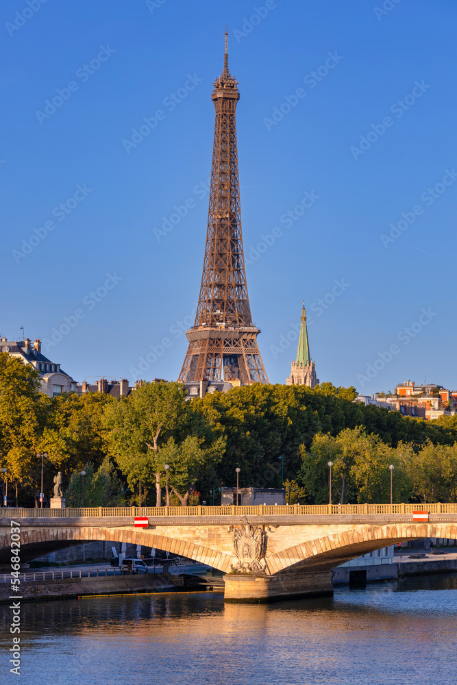 Fototapeta premium Eiffel tower view from the Pont Alexandre III bridge over the Seine river, Paris. France