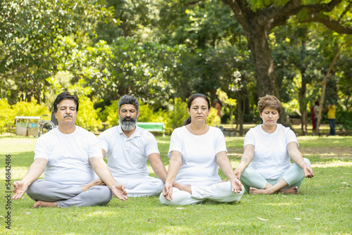Group of indian senior people doing yoga sitting on grass. Mature man and woman wearing white cloths practicing meditation together outdoor.