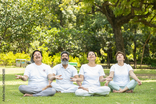 Group of indian senior people wearing white cloths relaxing doing yoga meditation together outdoor at summer park.