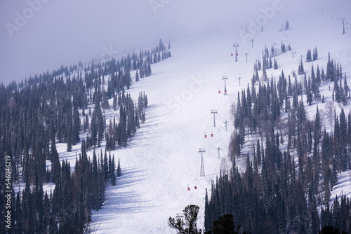 Snow covered trees and mountains 