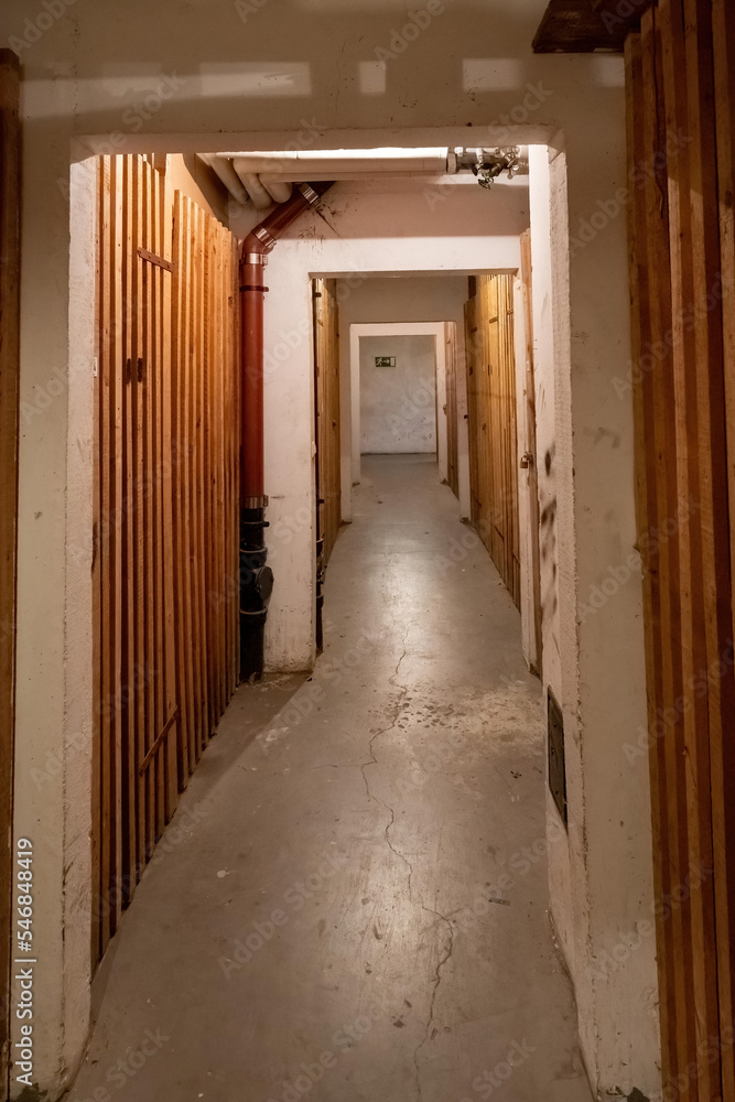 old cellar corridor with wooden doors