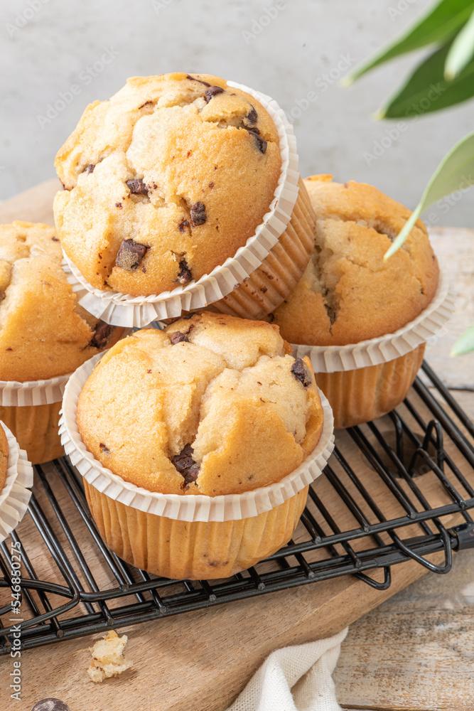 Chocolate chip muffins on a baking rack and glasses of milk on a white kitchen countertop. Morning breakfast table Chocolate chip muffins on a baking rack and glasses of milk on a white kitchen countertop. Morning breakfast table