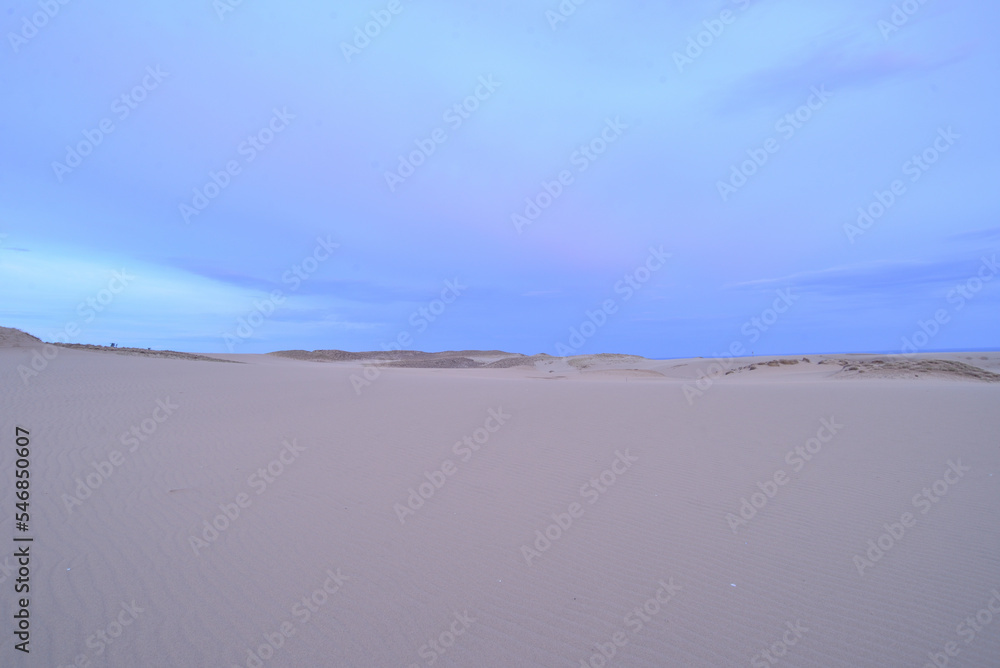 夜明けの鳥取砂丘 Tottori sand dunes at dawn Japan