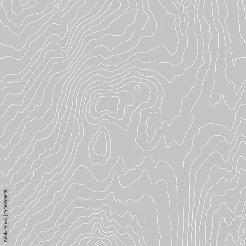 Wood grain white texture. Seamless wooden pattern. Abstract line background. Tree fiber vector illustration