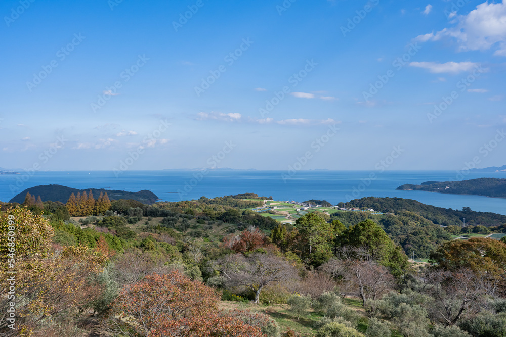 牛窓オリーブ園からの眺望