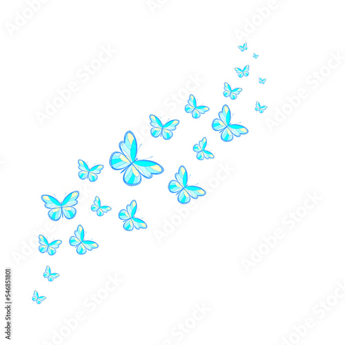 A flock of flying butterflies. Decoration for a postcard  packaging  website page.PNG illustration
