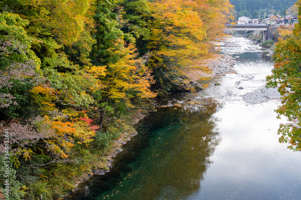 みたらい渓谷(奈良県天川村)の紅葉