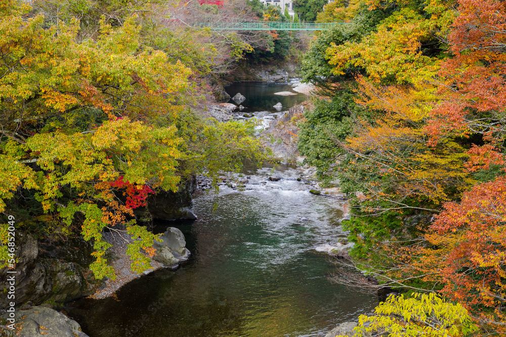みたらい渓谷(奈良県天川村)の紅葉