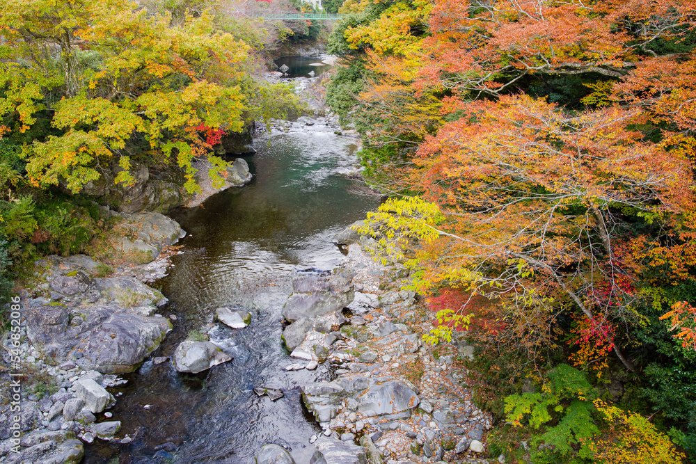 みたらい渓谷(奈良県天川村)の紅葉