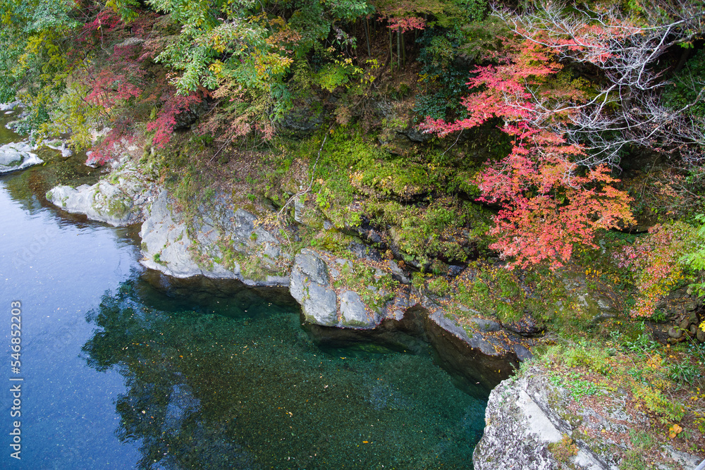 みたらい渓谷(奈良県天川村)の紅葉