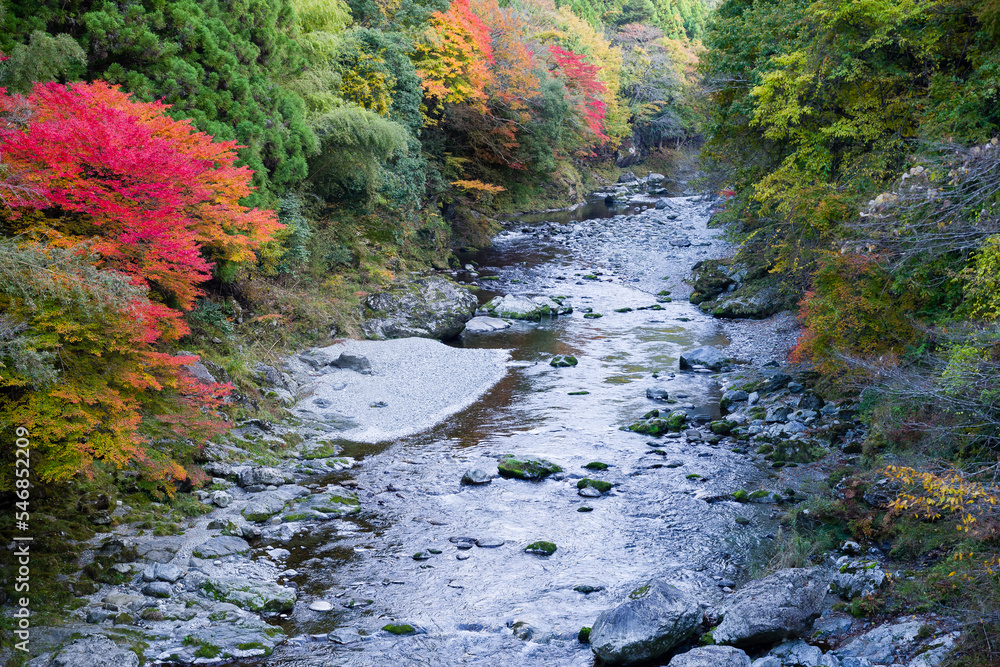 みたらい渓谷(奈良県天川村)の紅葉