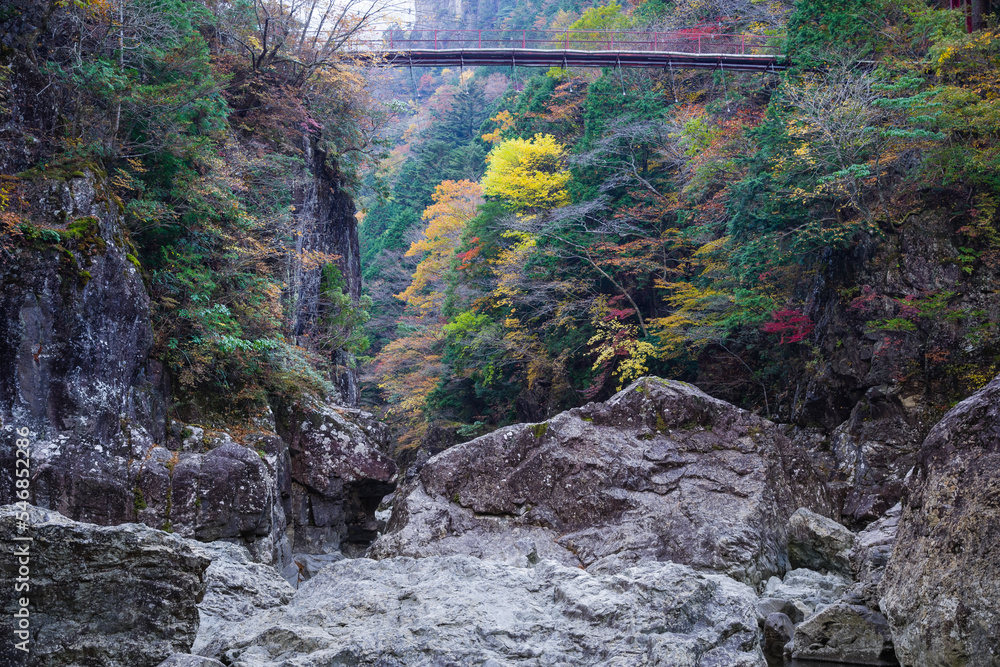 みたらい渓谷(奈良県天川村)の紅葉