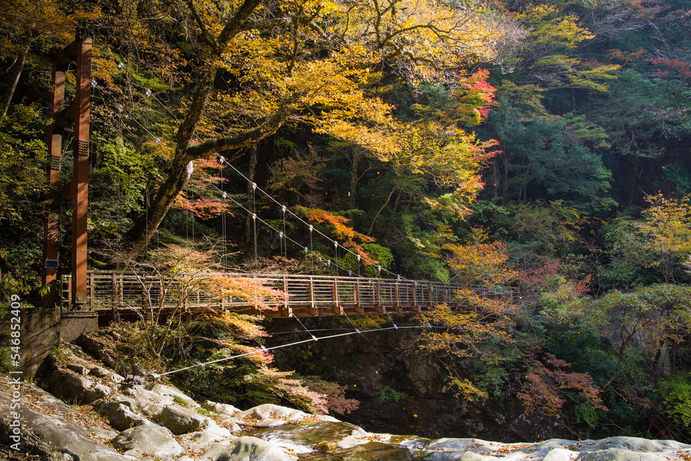 みたらい渓谷(奈良県天川村)の紅葉