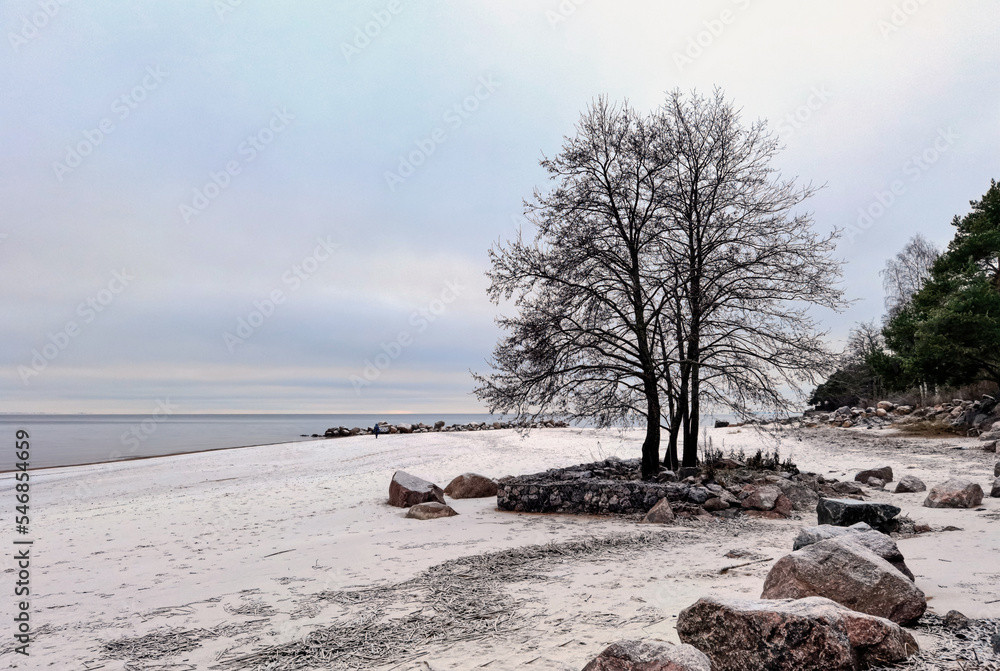 Φωτογραφία The first snow on the coast of the Gulf of Finland.