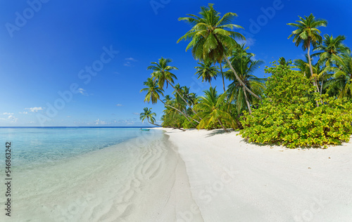 Fototapeta Naklejka Na Ścianę i Meble -  Beach with palm trees and crystal clear water. Idyllic tropical island in summer.