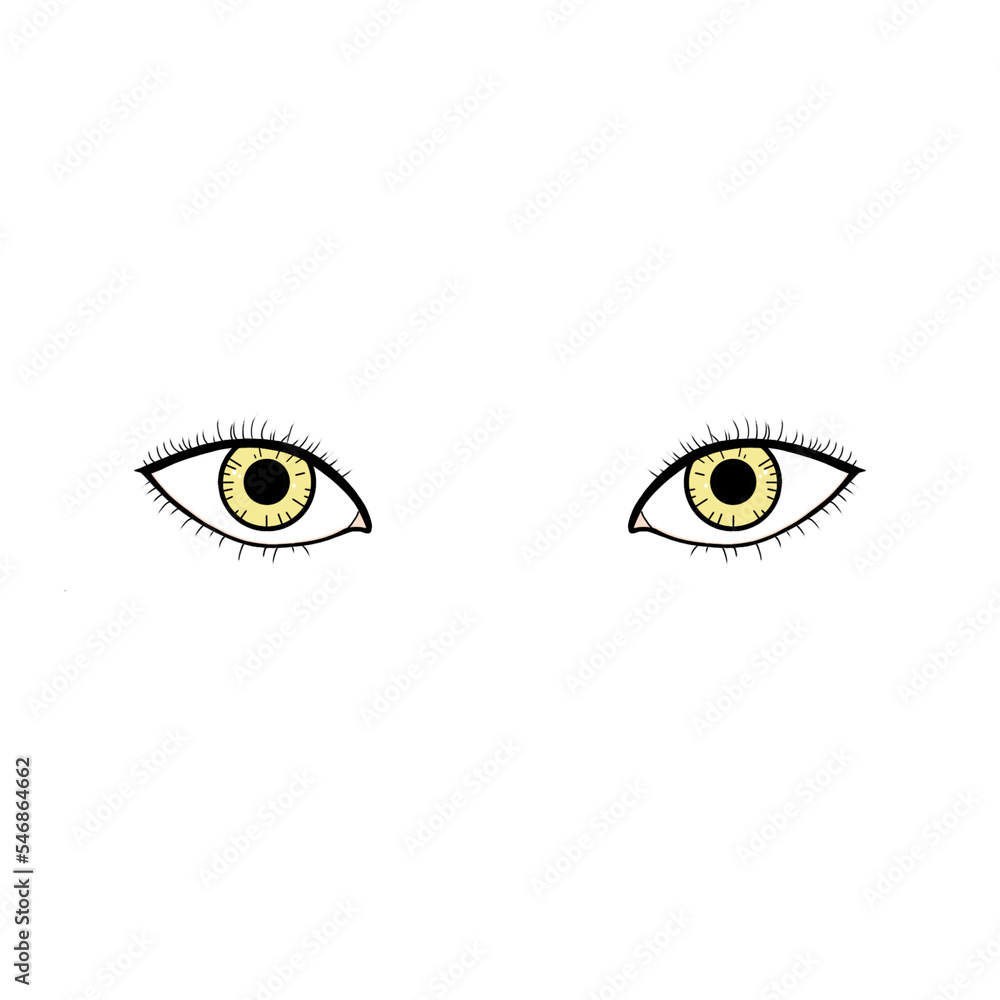 illustration of an eye