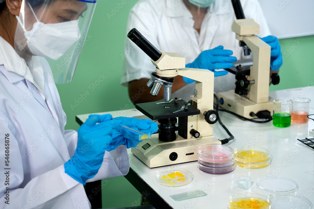team of scientists is preparing to isolate tissue for research in laboratory